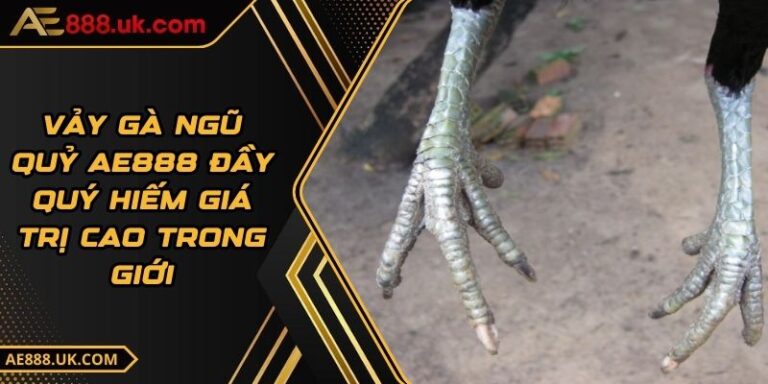 Vảy Gà Ngũ Quỷ AE888 Đầy Quý Hiếm Giá Trị Cao Trong Giới 1 Vảy Gà Ngũ Quỷ AE888 Đầy Quý Hiếm Giá Trị Cao Trong Giới